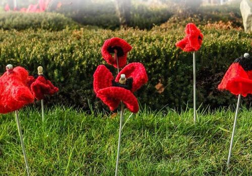 Fancy Knitting or Crocheting a Poppy for Remembrance Day?