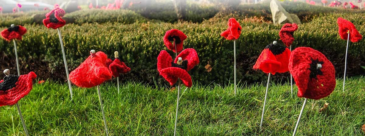 Knitted poppies.