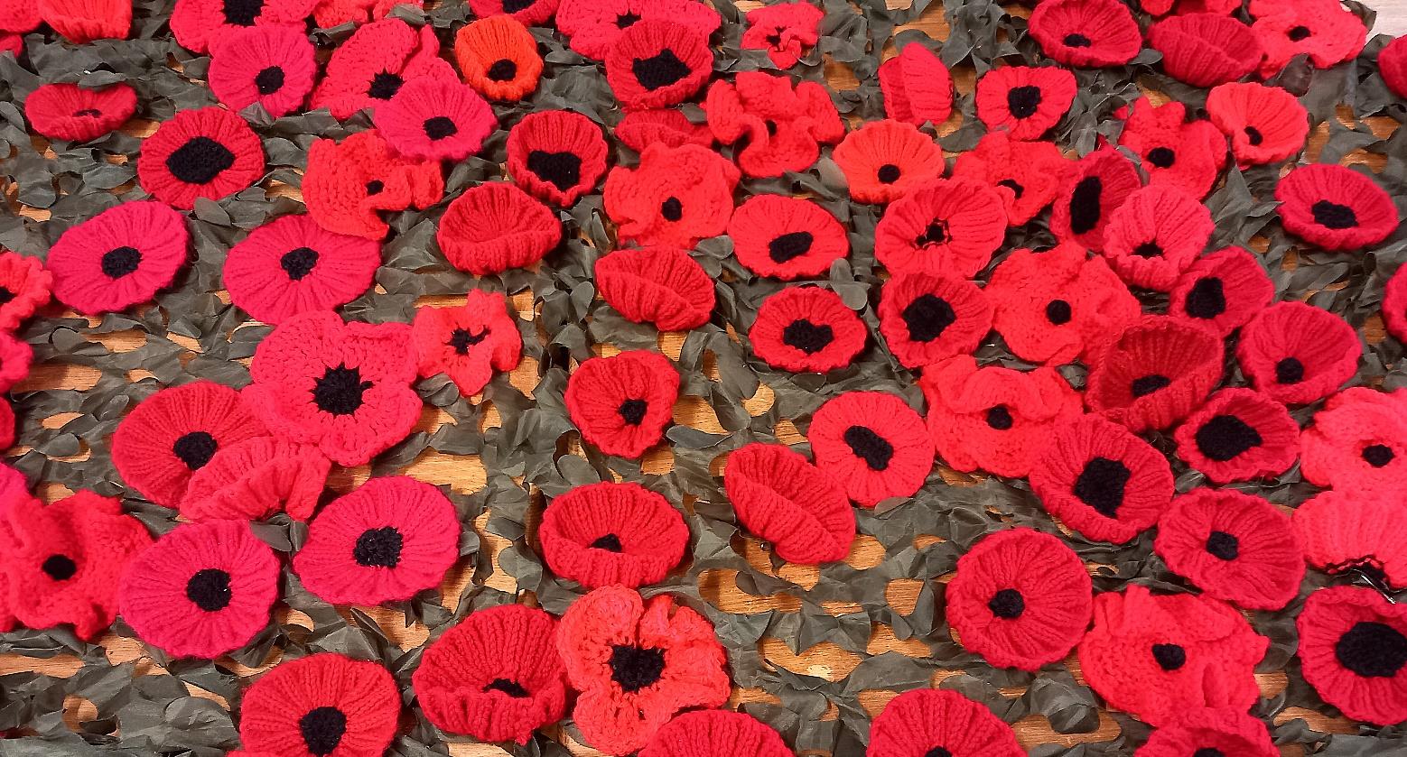 Remembrance poppies